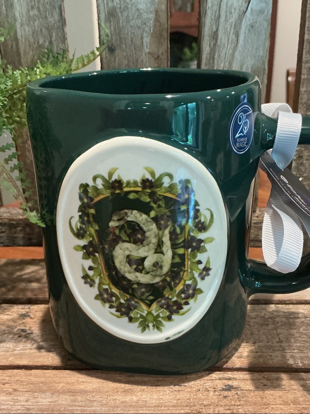 Harry Potter x Rae Dunn slytherin Mug
